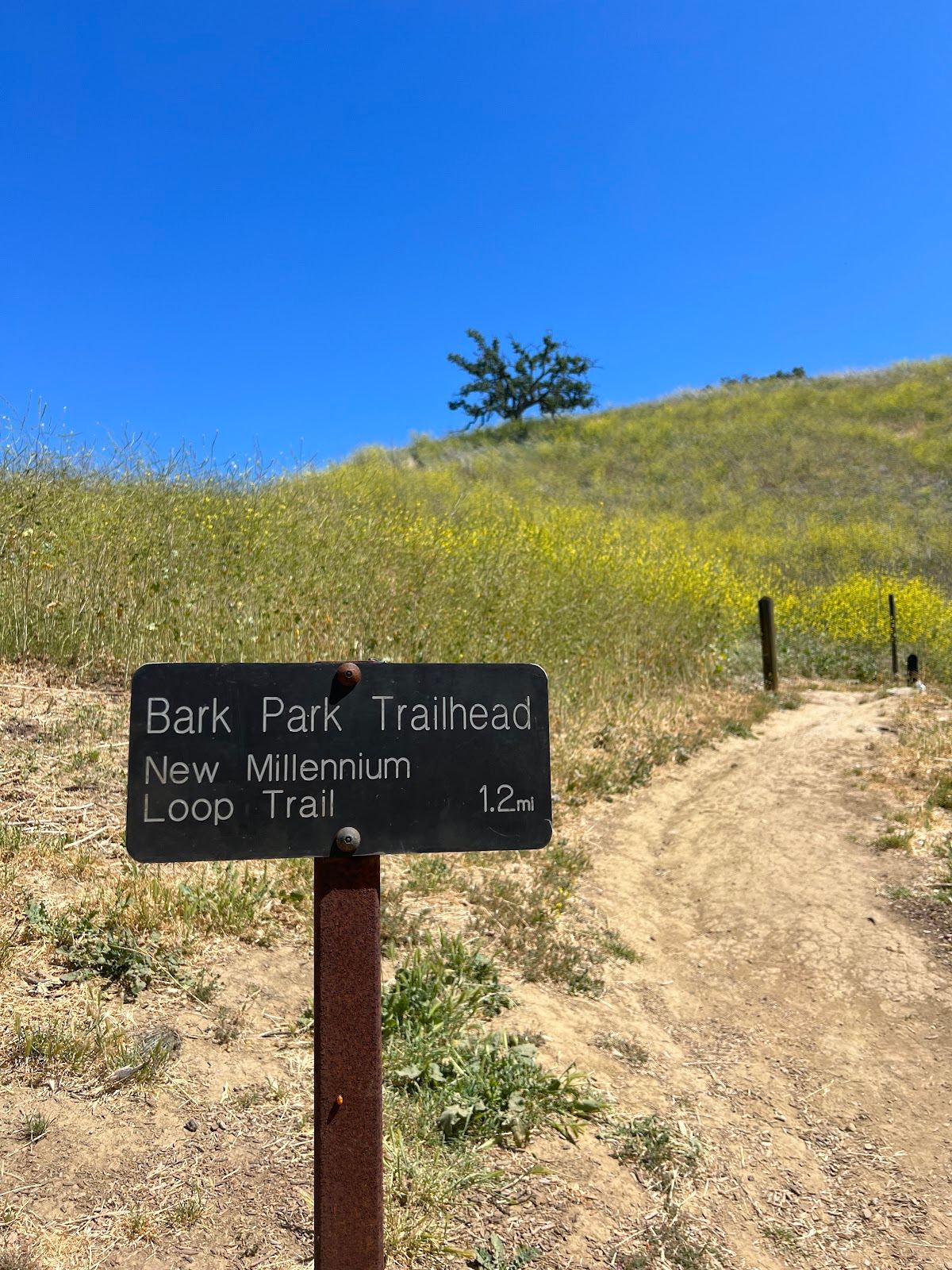 Calabasas Bark Park