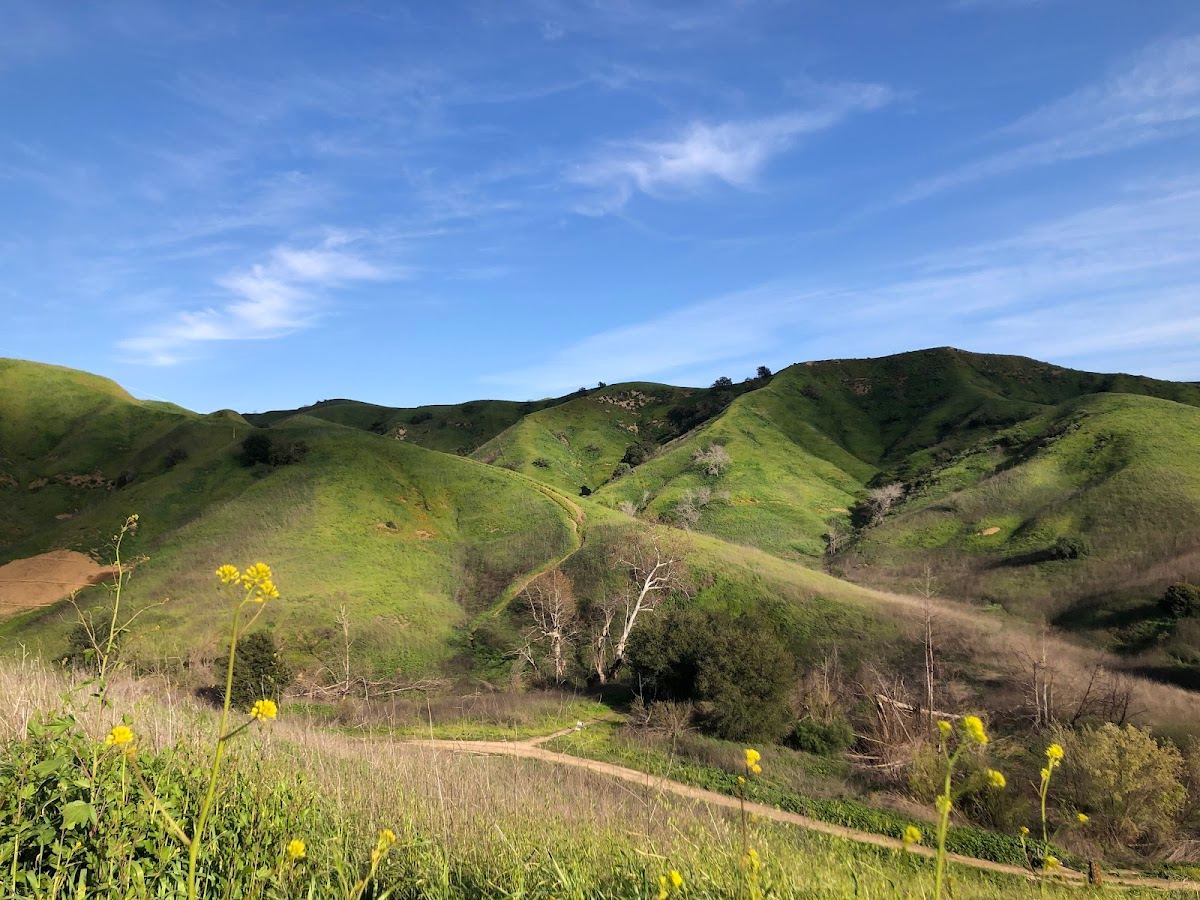 Chino Hills State Park