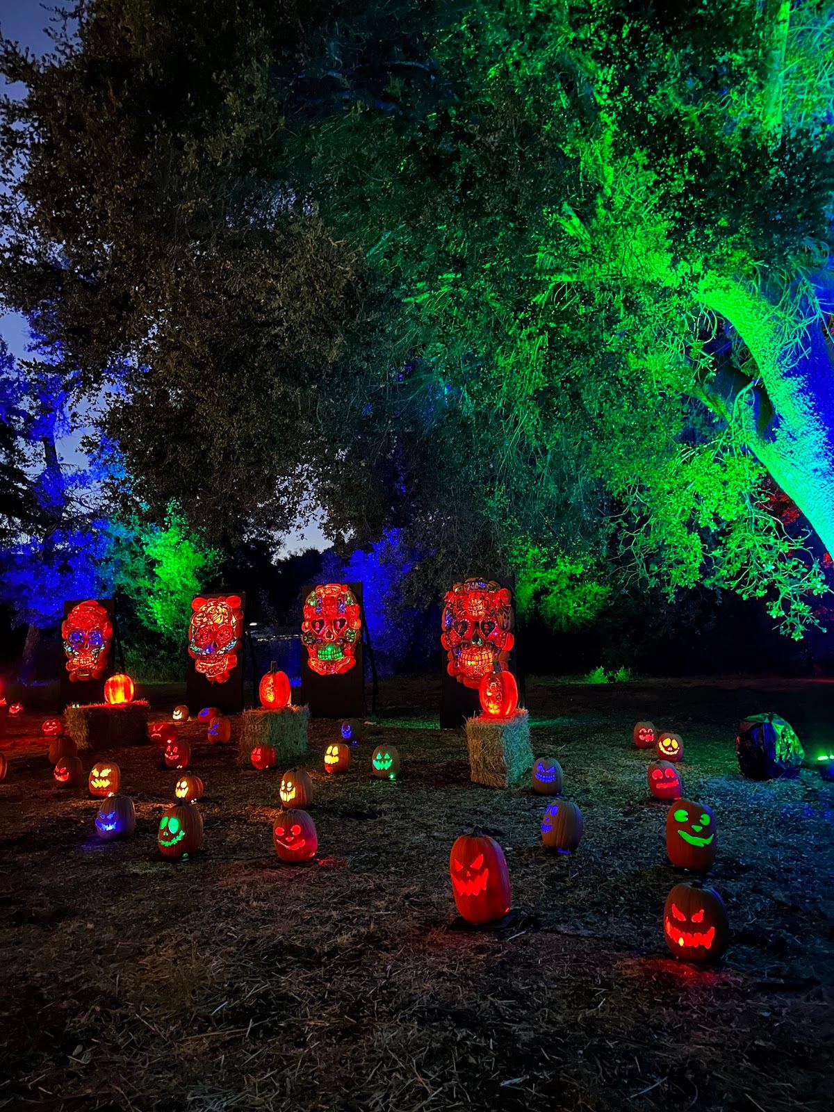 Calabasas Pumpkin Festival