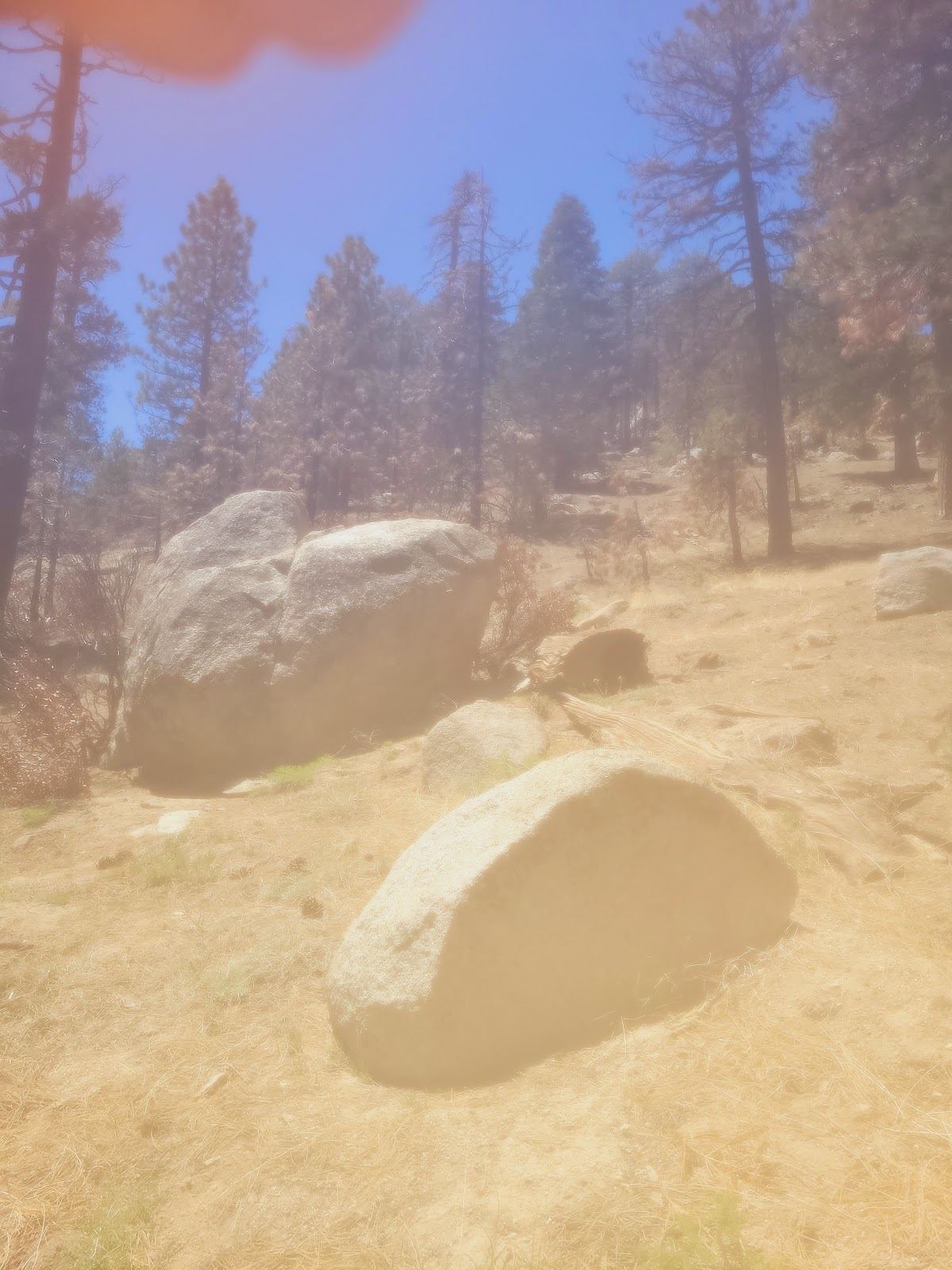 Waterman Heart Rock