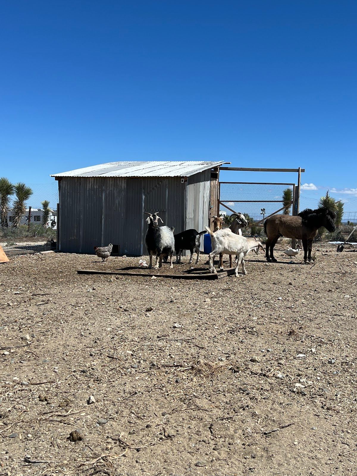 Rancho las Panchitas