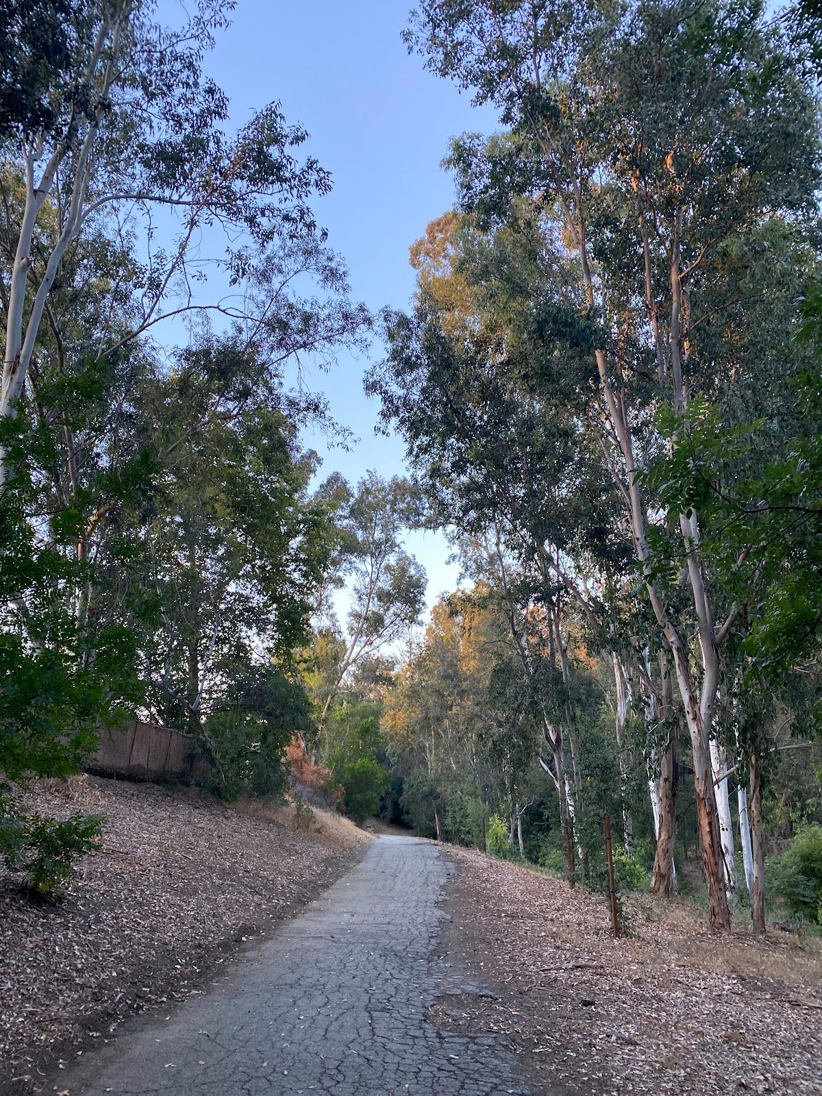 Hollow Run Park