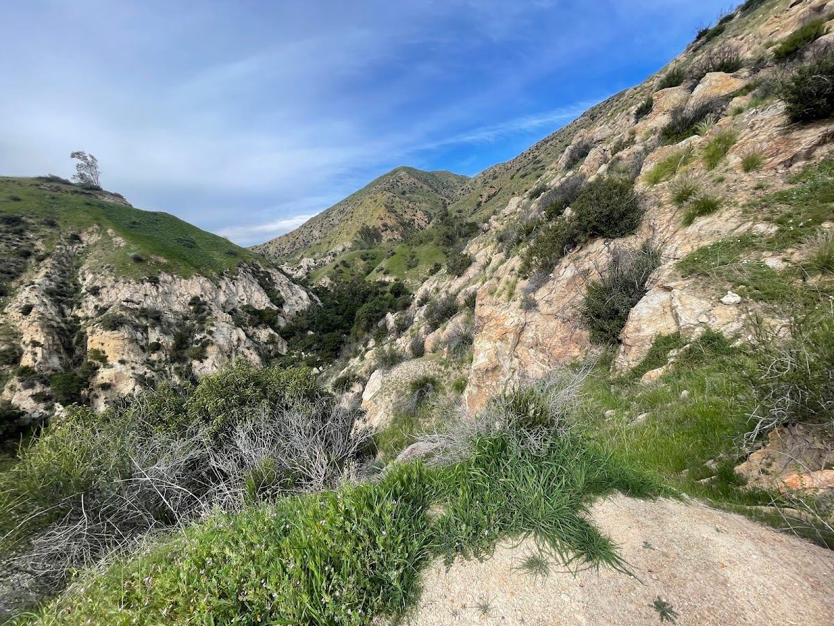 Stetson Ranch