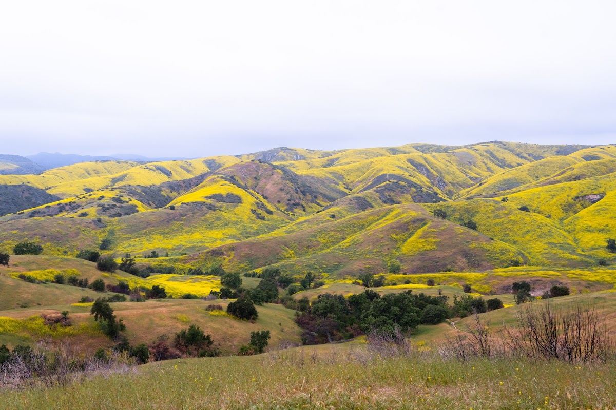 Lasky Mesa in Upper Las Virgenes Canyon Open Space Preserve