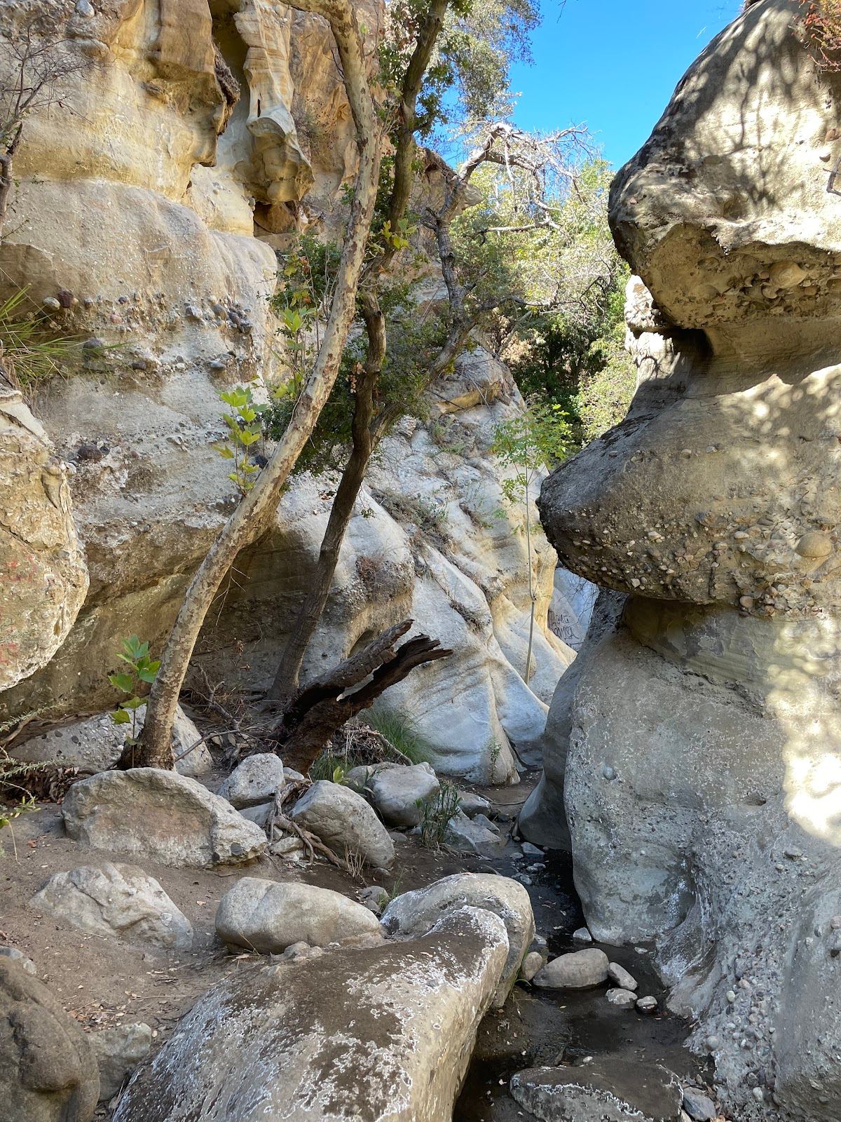 Santa Ynez Falls