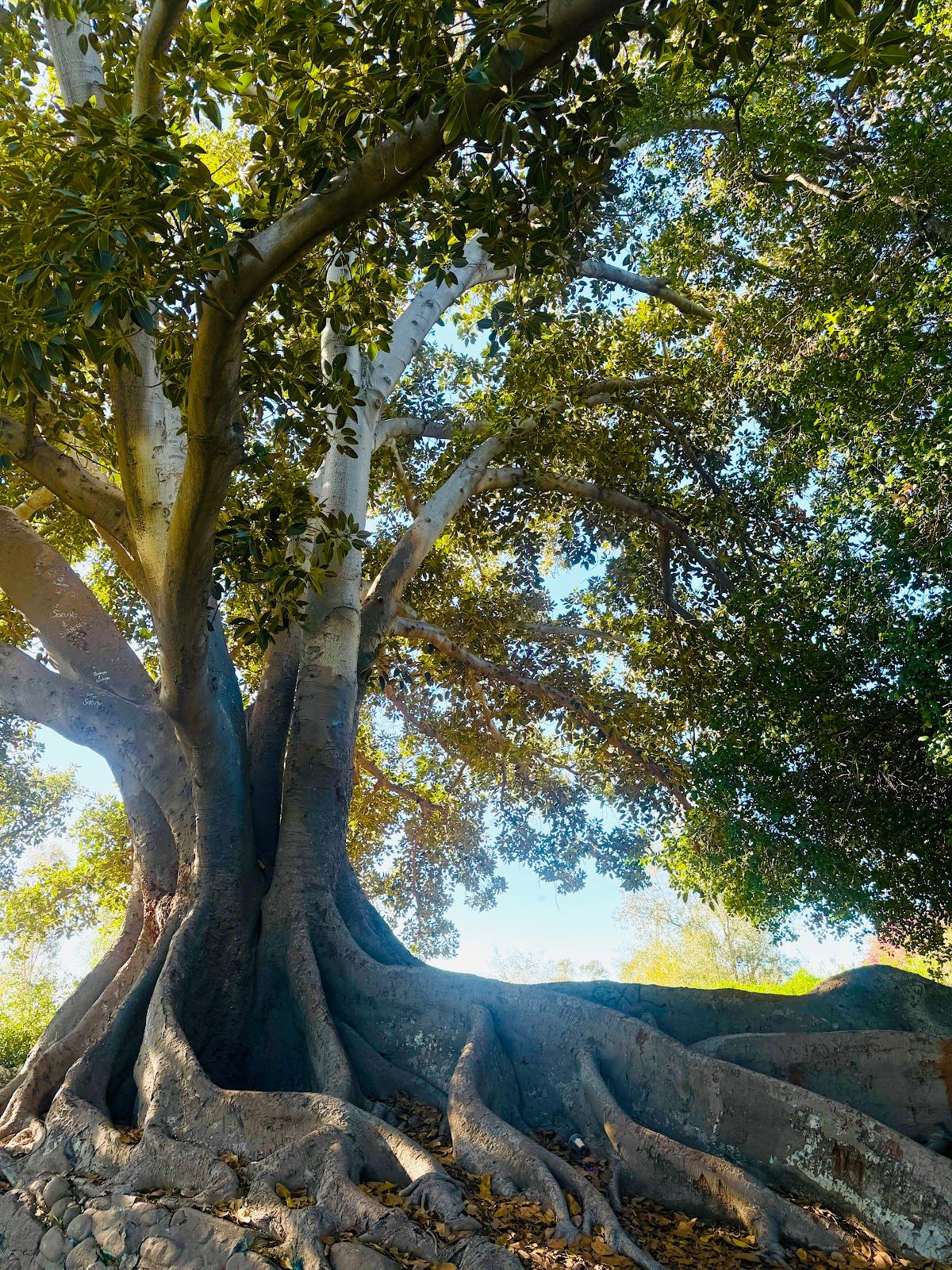 Ganesha Park