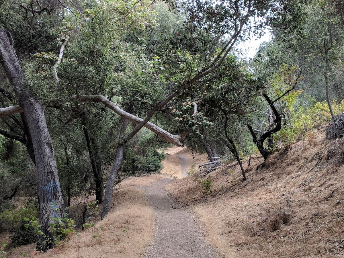 Walnut Creek Community Regional Park