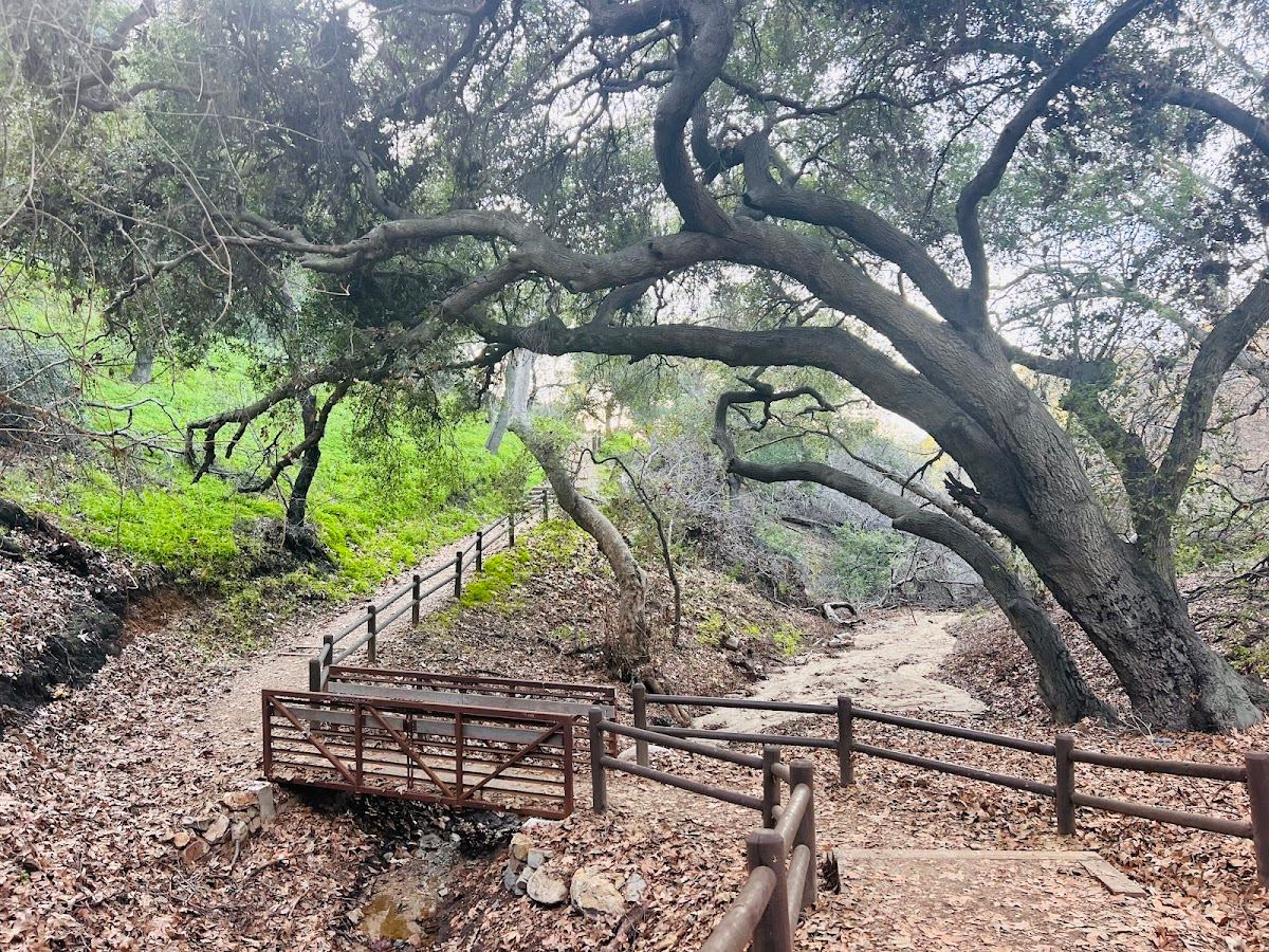 Steep Canyon Trail