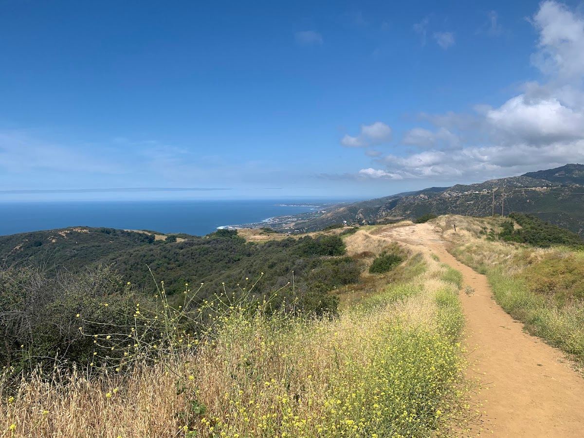 Tuna Canyon Park