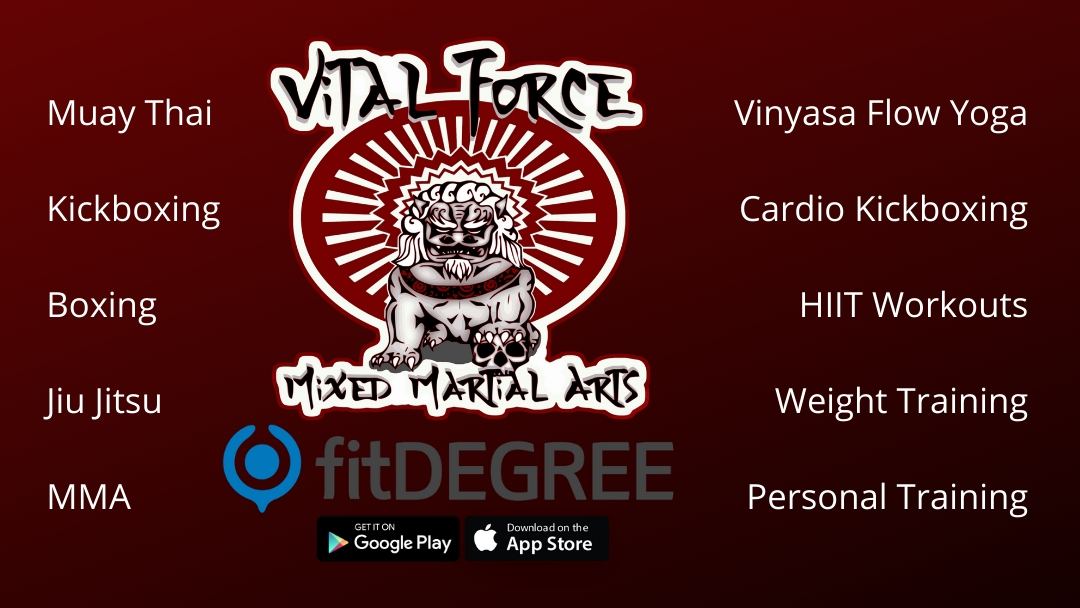 Vital Force Muay Thai & MMA