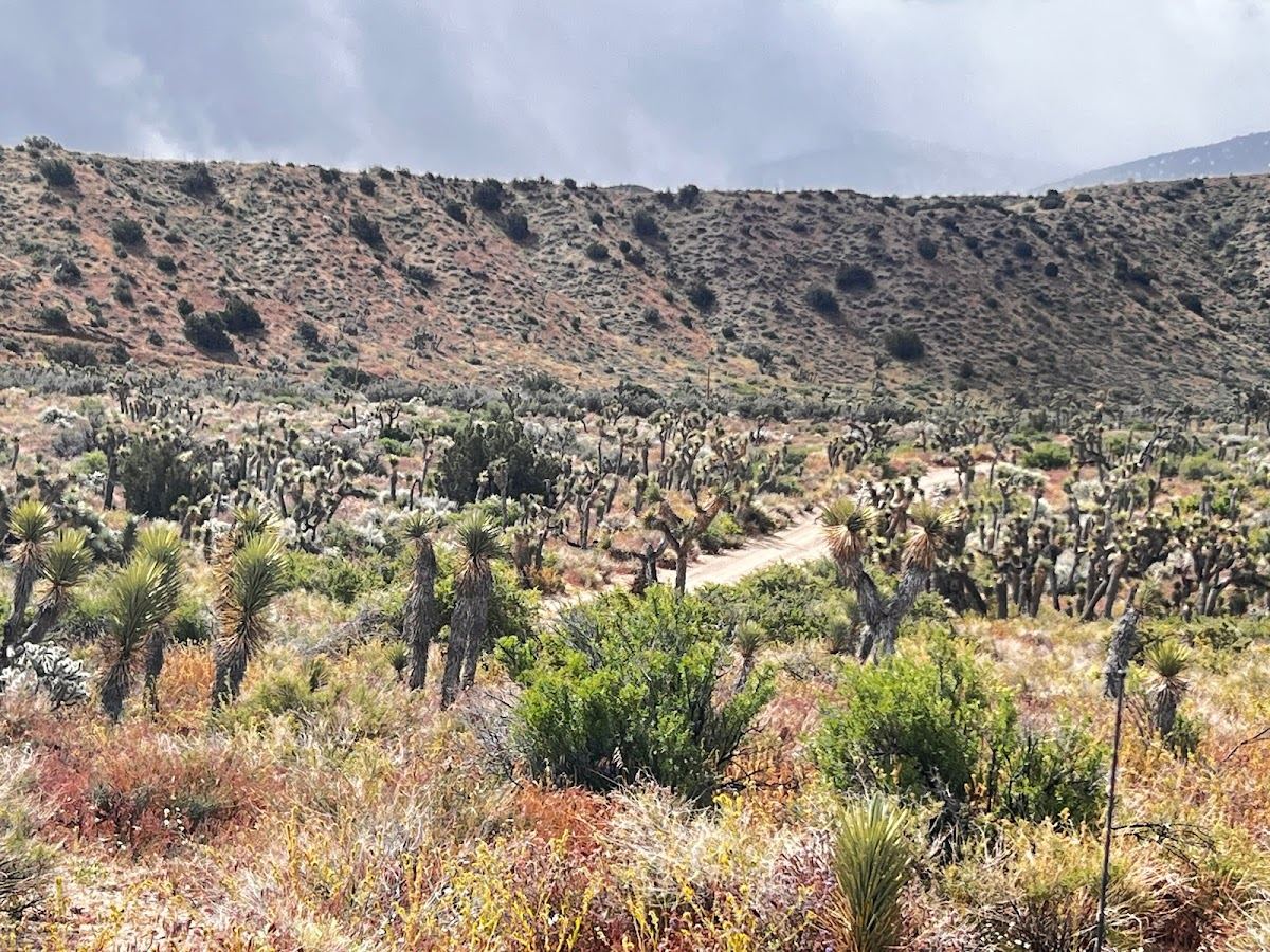 Walkabout Ranch Nature Preserve