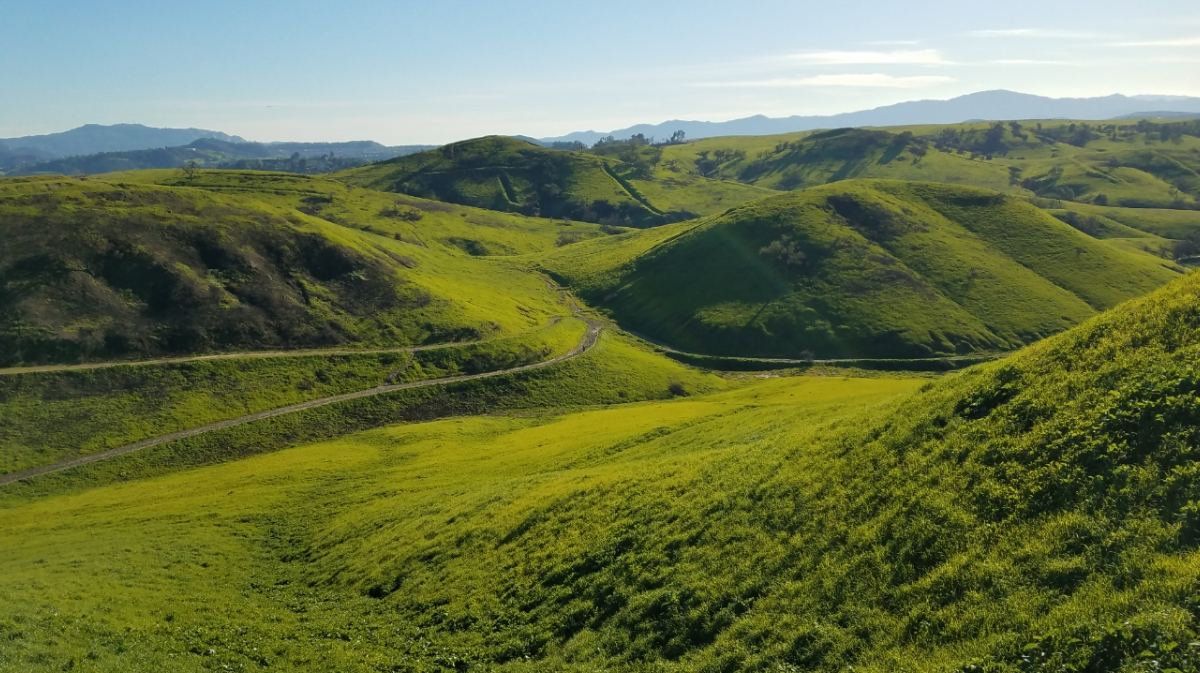 Upper Las Virgenes Canyon Open Space Preserve