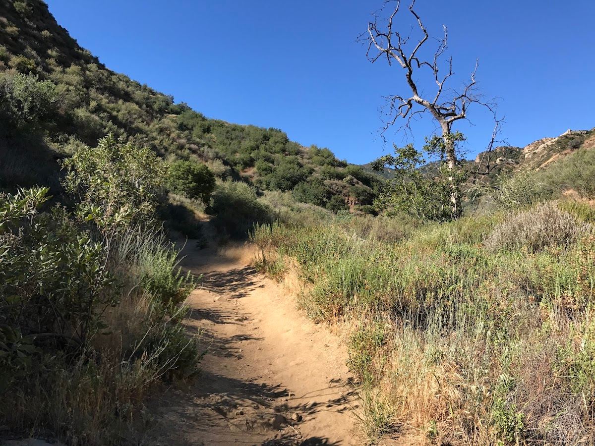 Towsley Canyon Park