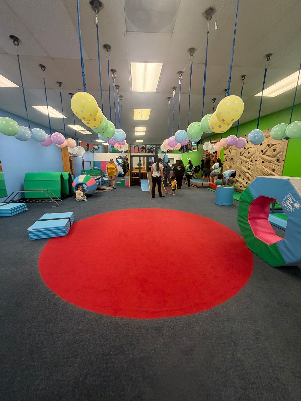 My Gym Children's Fitness Center