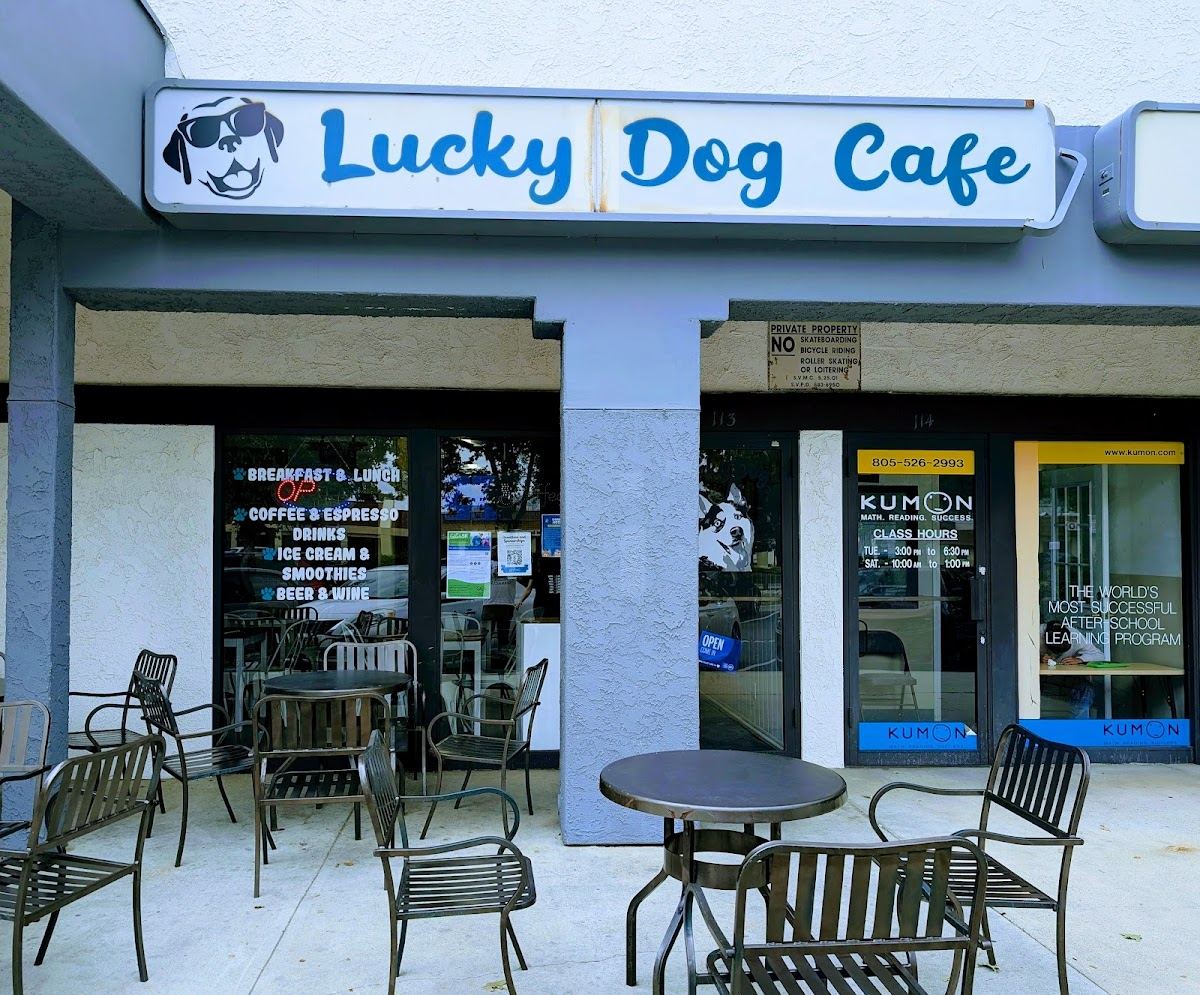 Lucky Dog Coffee