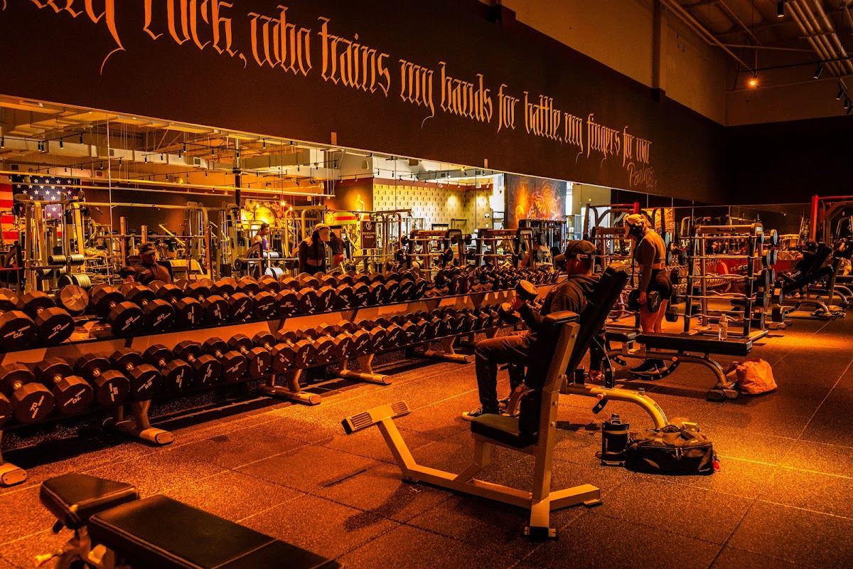 THE GYM Ontario