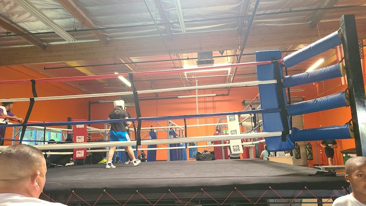 Santos Boxing
