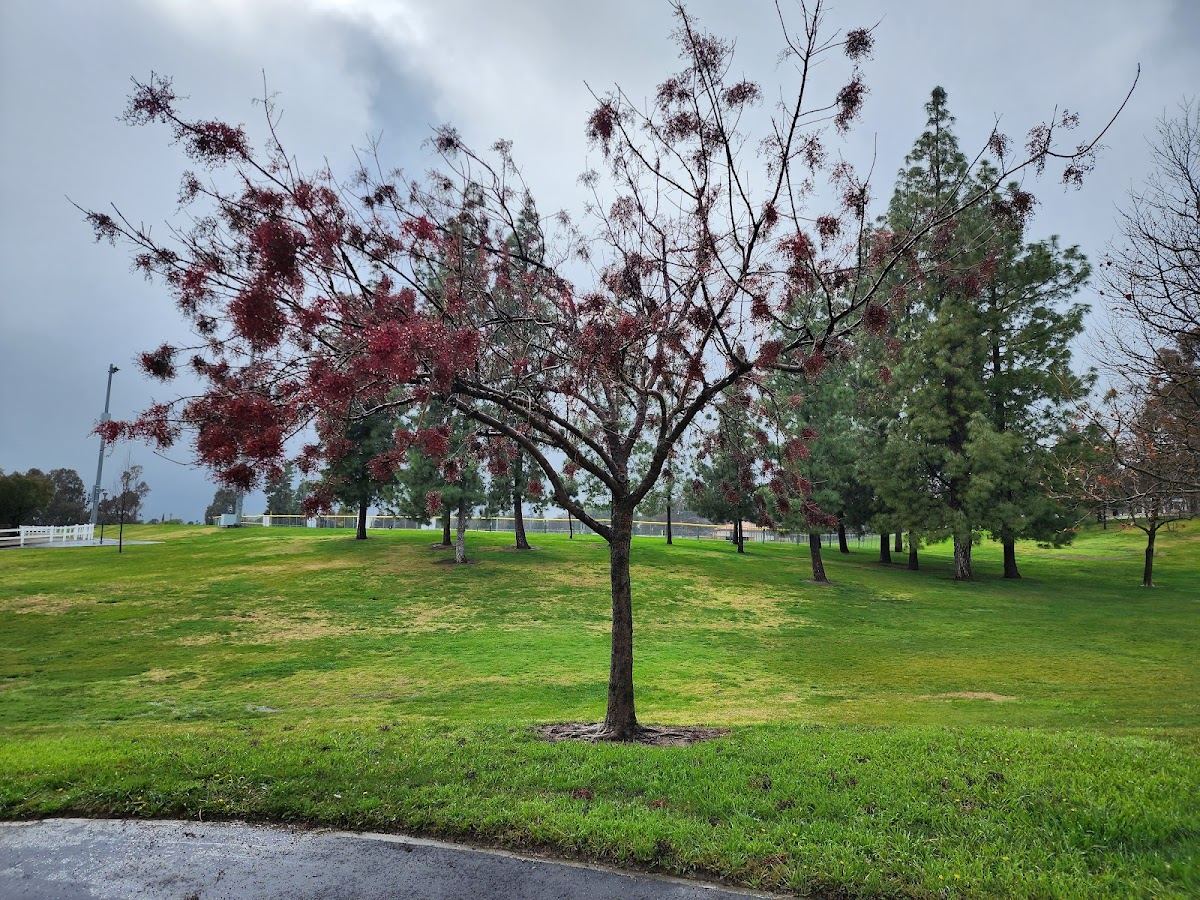 Heritage Community Park