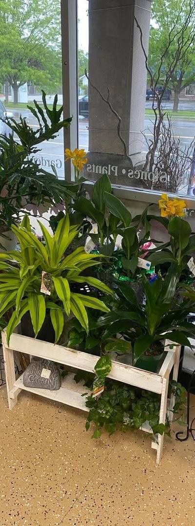 Goff & Dittman Florists photo 4